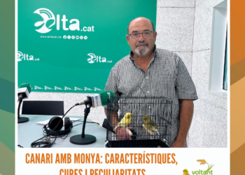 Voltant i Girant Estiu (28-08-2025)