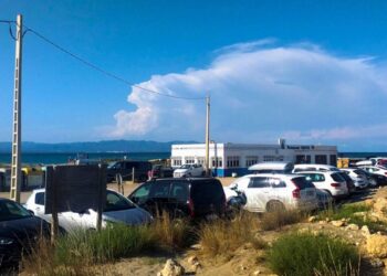 La URV proposa solucions per promoure el transport públic en zones rurals com el Delta de l’Ebre