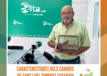 Arriba la tercera edició de la Jornada de Vela Inclusiva Territorial a l’Ampolla