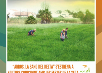“Arròs, la sang del Delta” s’estrena a YouTube coincidint amb les festes de la sega