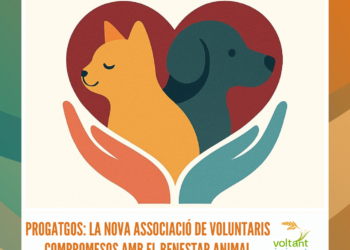 “Arròs, la sang del Delta” s’estrena a YouTube coincidint amb les festes de la sega