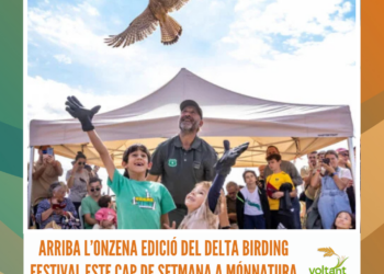 Arriba l’onzena edició del Delta Birding Festival este cap de setmana a MónNatura