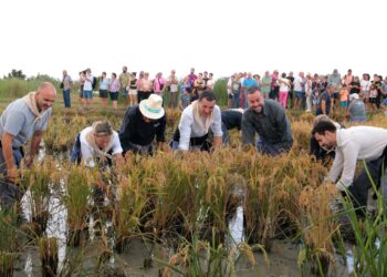 La Sega de Deltebre, no oblida que el 22 de setembre acaba el termini de l’expedient d’atermenament del municipi