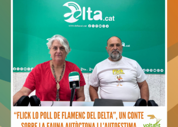 Arriba l’onzena edició del Delta Birding Festival este cap de setmana a MónNatura