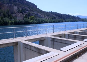 La PDE acusa el Govern de practicar un “discurs hipòcrita” quan parla de defensar el delta de l’Ebre