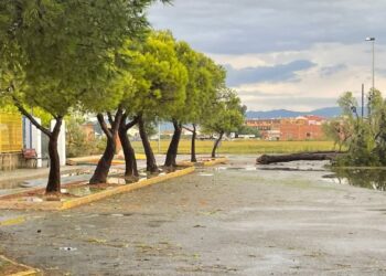 Sense classes a Sant Jaume d’Enveja i danys a vehicles i arrossars a Deltebre per la pedregada