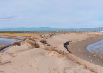 La Taula de Consens denuncia el retard del MITECO en el pla unificat pel Delta de l’Ebre