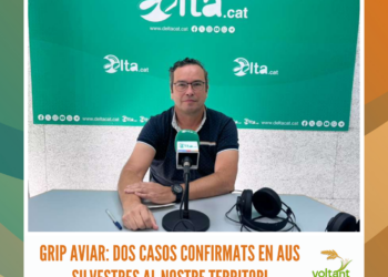 Grip aviar: dos casos confirmats en aus silvestres al nostre territori