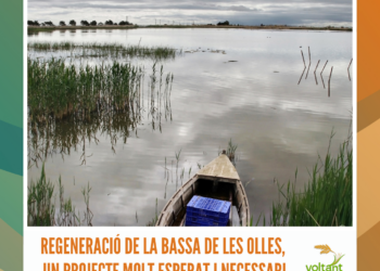 Regeneració de la Bassa de les Olles, un projecte molt esperat i necessari