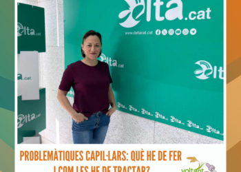 Grip aviar: dos casos confirmats en aus silvestres al nostre territori