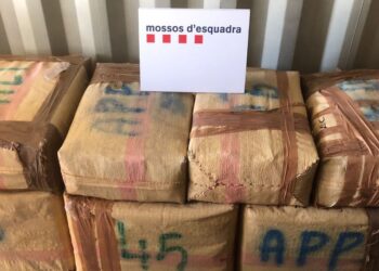 Detenen un conductor a l’Ampolla amb 970 quilos d’aixix i 15 quilos de cocaïna que va intentar fugir