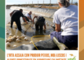L’IRTA assaja com produir peixos, mol·luscos i algues comestibles en arrossars salinitzats