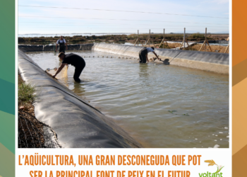 L’aqüicultura, una gran desconeguda que pot ser la principal font de peix en el futur