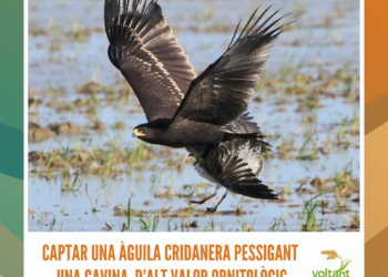 Riumar tanca un estiu amb alta ocupació i més de 3.500 visitants a l’Oficina de Turisme