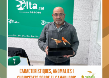 “Si és de llotja és boníssim”: la campanya del GALP Mar de l’Ebre per promoure el consum de peix local