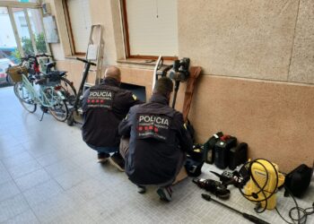 Una detinguda per traficar amb cocaïna, marihuana i haixix des del seu domicili de Deltebre