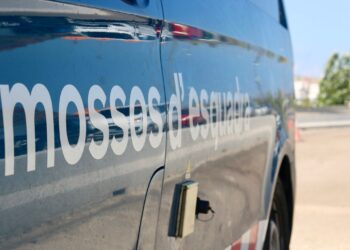 Una conductora mor en xocar amb un porc senglar, bolcar i sortir de la via a l’N-340 a l’Ampolla