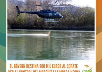 El Govern destina 900 mil euros al COPATE per al control del mosquit i la mosca negra
