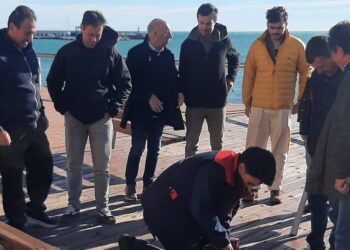 Adjudicades les obres de restauració del passeig de fusta de l’Ampolla