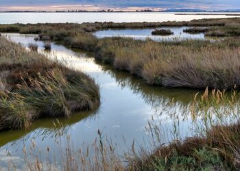 La Taula de Consens defensa que la seva proposta augmenta un 12% el cabal ambiental
