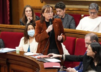 Paneque demana unitat catalana per revertir la desinversió a Rodalies