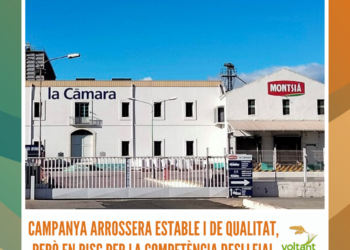 Campanya arrossera estable i de qualitat, però en risc per la competència deslleial