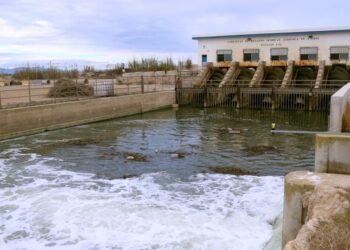 Estratègies d’adaptació reforcen la gestió de l’aigua al Delta de l’Ebre