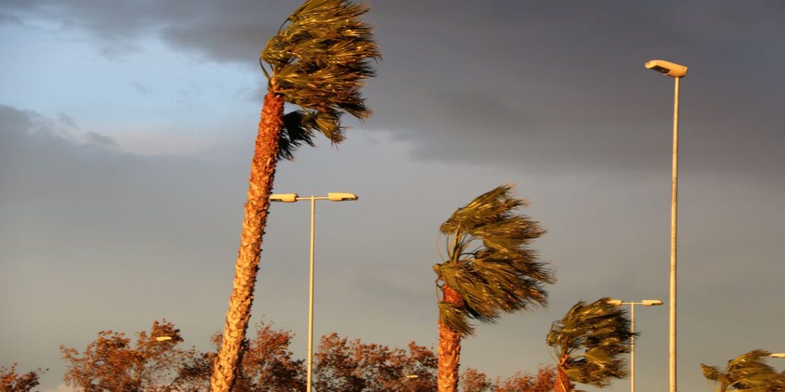 L’Ampolla i Camarles suspenen el Carnaval d’aquest cap de setmana pel fort vent