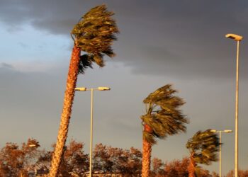 L’Ampolla i Camarles suspenen el Carnaval d’aquest cap de setmana pel fort vent