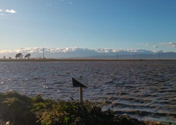 Unió de Pagesos reclama que s’arxive la proposta d’atermenament al delta de l’Ebre