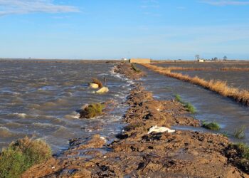 L’alcalde de Deltebre visita els efectes del temporal, que ha fet avançar l’aigua de la mar fins a un quilòmetre terra endins