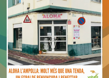 L’anguila se seguirà pescant, després de no incloure-la al catàleg d’espècies protegides