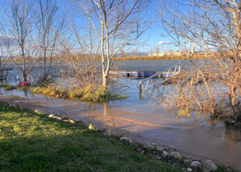 La crescuda de l’Ebre impedeix començar els tractaments contra la mosca negra