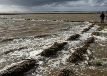 El temporal inunda amb aigua del mar els arrossars al delta de l’Ebre i el sector demana actuacions