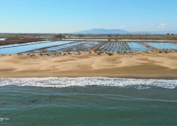 L’Ajuntament de Deltebre signa les al·legacions contra el nou expedient d’atermenament