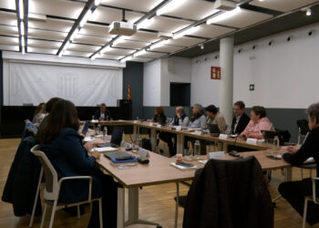 L’atermenament del Delta, el nou hospital i l’heliport marquen el Consell de Direcció