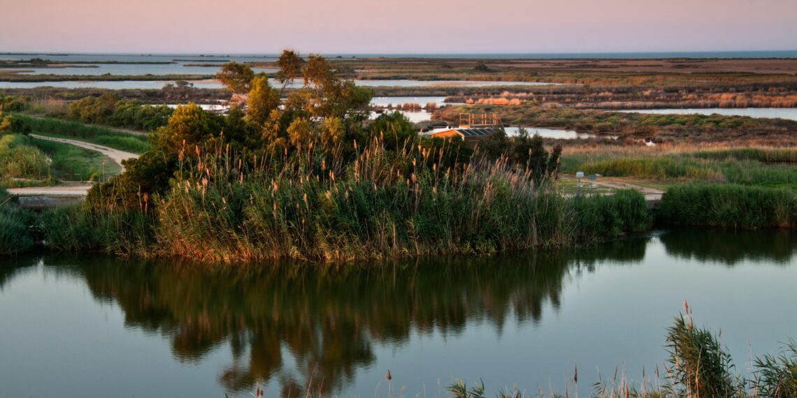 Setmana Santa 2026 al delta de l’Ebre: turisme sostenible i protecció dels hàbitats naturals