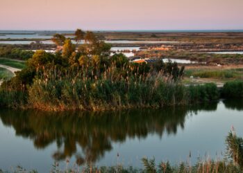 Setmana Santa 2026 al delta de l’Ebre: turisme sostenible i protecció dels hàbitats naturals