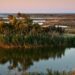 Setmana Santa 2026 al delta de l’Ebre: turisme sostenible i protecció dels hàbitats naturals