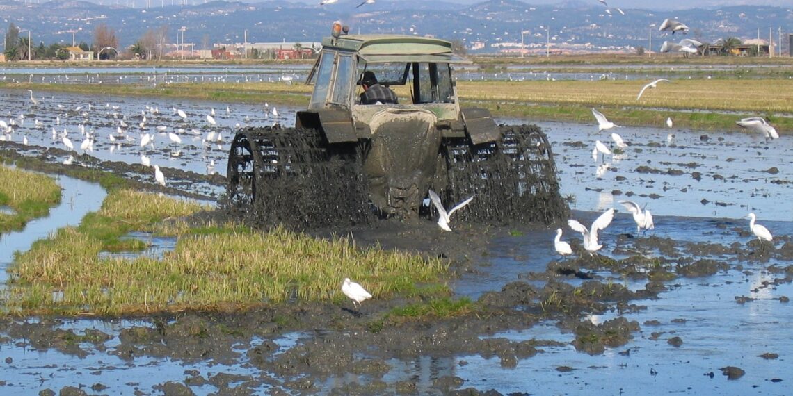 Unió de Pagesos exigeix mesures urgents per l’encariment del gasoil agrícola pel conflicte a l’Orient Mitjà