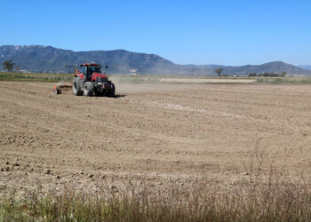 Arrossaires amb els ajuts bloquejats per deutes demanen solucions per no haver d’abandonar els camps
