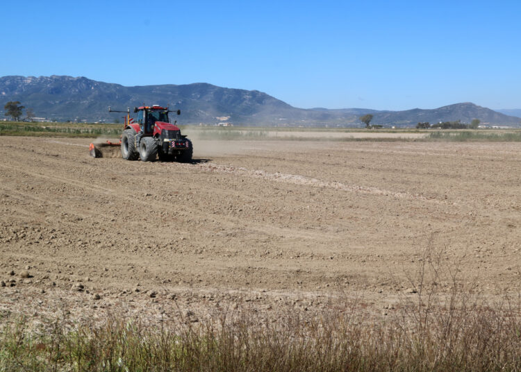 Arrossaires amb els ajuts bloquejats per deutes demanen solucions per no haver d’abandonar els camps