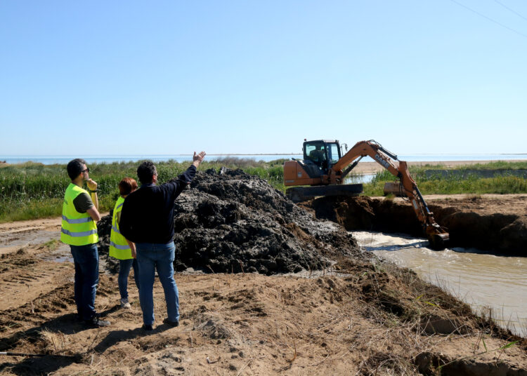 En marxa les obres per frenar la degradació i restaurar ambientalment la Bassa de les Olles