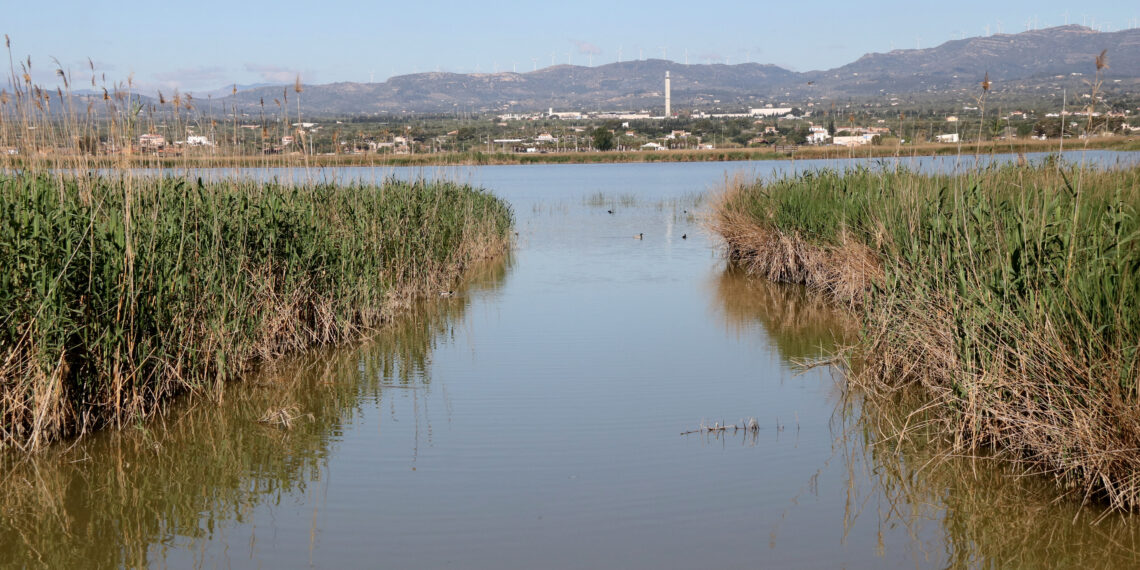 Forestal Catalana licita per 1,33 milions la plataforma de monitorització de les basses del delta de l’Ebre