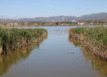 Forestal Catalana licita per 1,33 milions la plataforma de monitorització de les basses del delta de l’Ebre