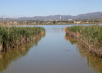 Forestal Catalana licita per 1,33 milions la plataforma de monitorització de les basses del delta de l’Ebre