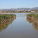 Forestal Catalana licita per 1,33 milions la plataforma de monitorització de les basses del delta de l’Ebre