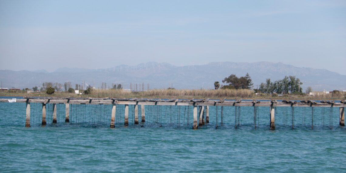 El Govern impulsa un pla de 5 milions per descarbonitzar l’aqüicultura del delta de l’Ebre