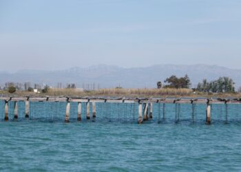 El Govern impulsa un pla de 5 milions per descarbonitzar l’aqüicultura del delta de l’Ebre