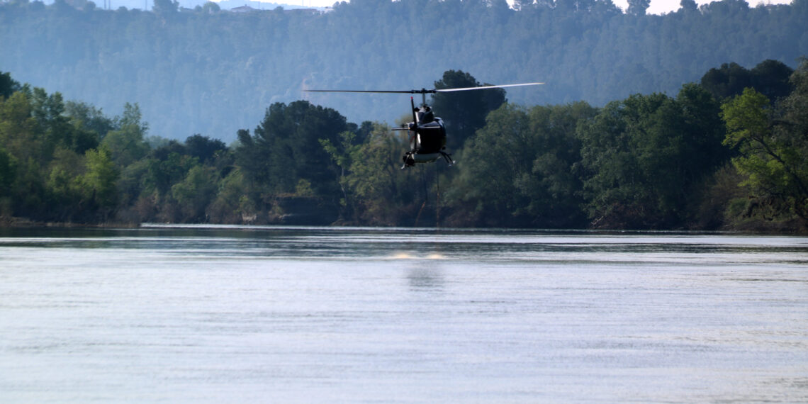 Arrenca amb retard la campanya contra la mosca negra per l’alt cabal del riu Ebre